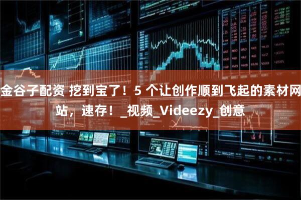 金谷子配资 挖到宝了！5 个让创作顺到飞起的素材网站，速存！_视频_Videezy_创意