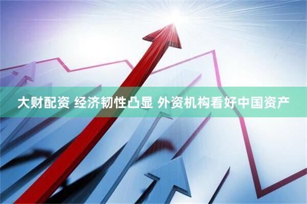 大财配资 经济韧性凸显 外资机构看好中国资产
