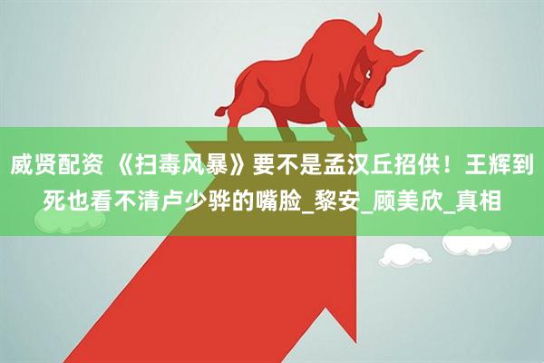 威贤配资 《扫毒风暴》要不是孟汉丘招供！王辉到死也看不清卢少骅的嘴脸_黎安_顾美欣_真相