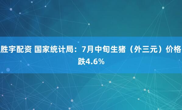 胜宇配资 国家统计局：7月中旬生猪（外三元）价格跌4.6%