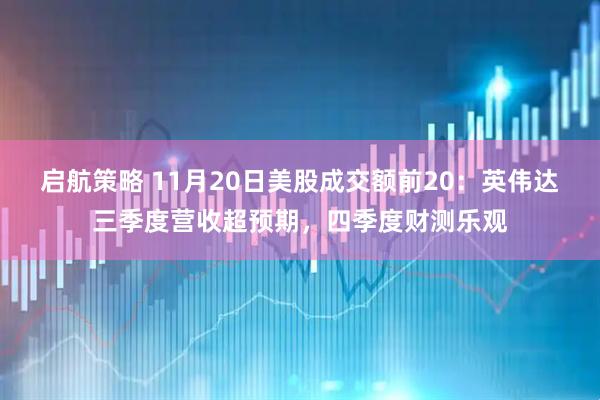 启航策略 11月20日美股成交额前20：英伟达三季度营收超预期，四季度财测乐观