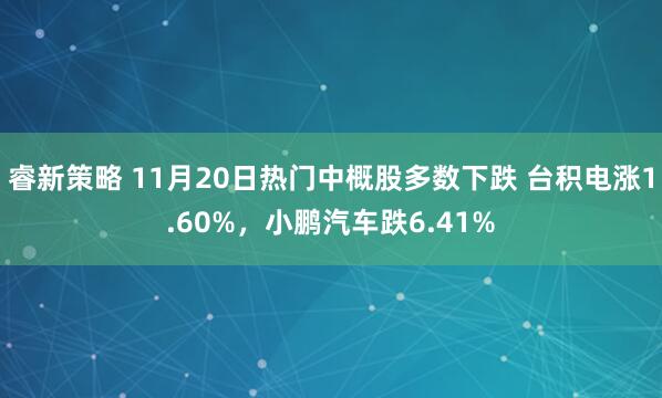 睿新策略 11月20日热门中概股多数下跌 台积电涨1.60%，小鹏汽车跌6.41%