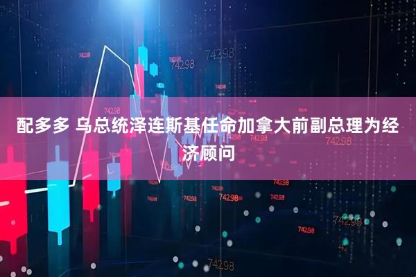 配多多 乌总统泽连斯基任命加拿大前副总理为经济顾问