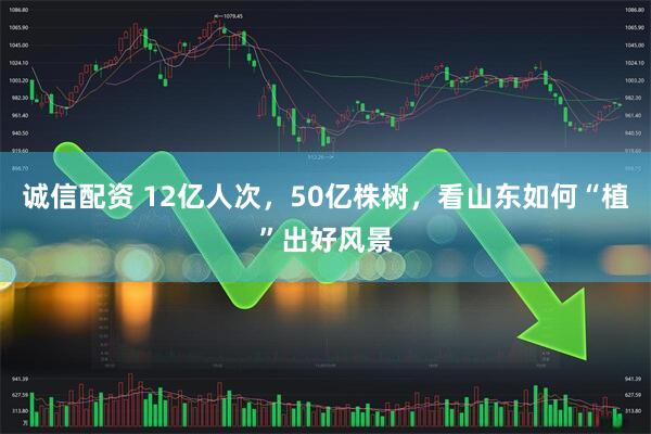 诚信配资 12亿人次，50亿株树，看山东如何“植”出好风景